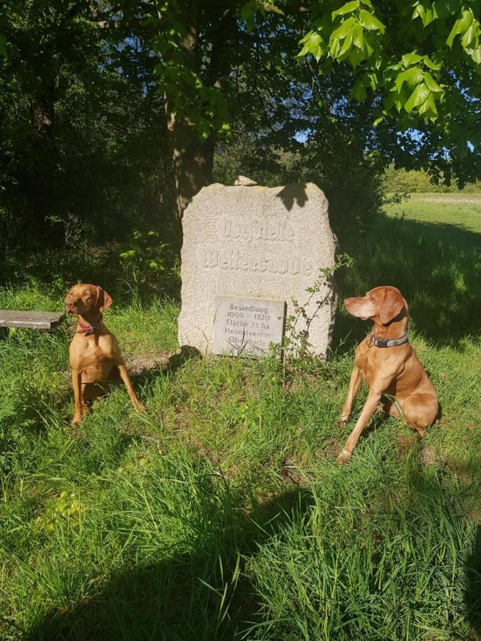 Ferienhaeuser Oberdorla 外观 照片